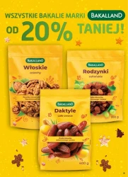 Codzienne oszczędności dla ciebie - Dino