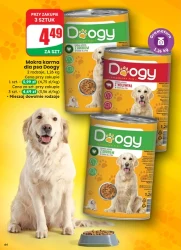 Codzienne oszczędności dla ciebie - Dino