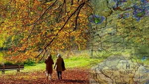 Możemy liczyć na złotą polską jesień? Najnowsza prognoza napawa optymizmem