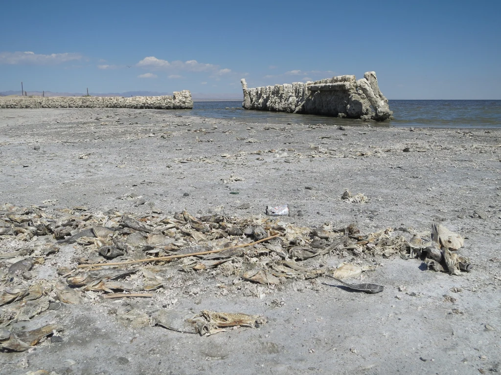 Wysychające Salton Sea w Kaliforni