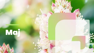 Maj w ogrodzie to czas intensywnego rozkwitu roślin. Warto nie zapomnieć o najważniejszych zabiegach