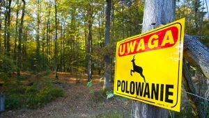 Śmiertelny postrzał na polowaniu. Ministra klimatu mówi "dość"