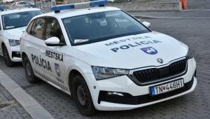 Polska szajka złodziei aut na Słowacji. Pościgi i strzały przy granicy