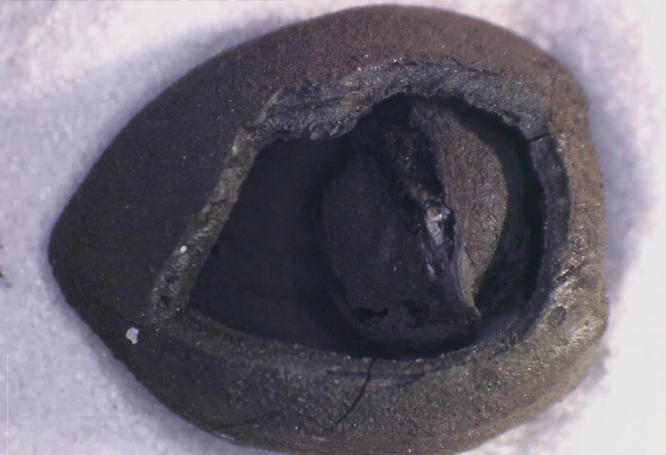 Odkrycia w Turcji rzucają światło na długą i bogatą tradycję wypieków, ujawniając chleb sprzed tysięcy lat. Ciemny, owalny kamień z wyraźnym pęknięciem oraz wewnętrzną strukturą, leżący na jasnym, ziarnistym tle.