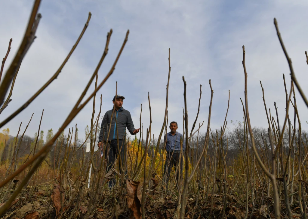 Dwóch mężczyzn stojących na suchym, niegościnnym polu z niewielkimi, suchymi gałęziami w pierwszym planie, otoczeni jesienną roślinnością i pod pochmurnym niebem.