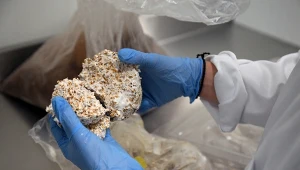 Era plastiku chyli się ku końcowi? Są już pierwsze opakowania z grzybów