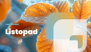 W listopadzie również należy zadbać o prace ogrodnicze