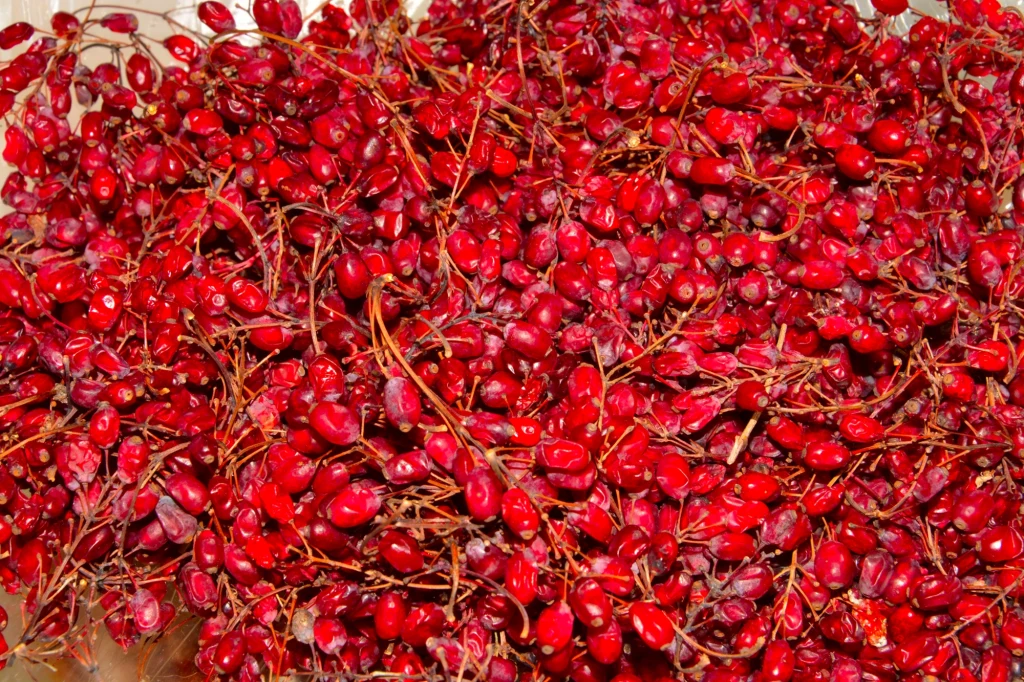 Suszony berberys w strukturze przypomina żelki Olbrzymia ilość czerwonych owoców dzikiej róży na cienkich gałązkach, ułożona w gęstą warstwę, charakteryzuje się intensywnym, soczystym kolorem oraz błyszczącą powierzchnią owoców.