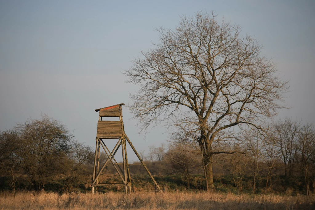 Śmiertelny wypadek na polowaniu. Jest zarzut zabójstwa