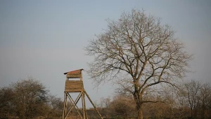 Śmiertelny wypadek na polowaniu. Jest zarzut zabójstwa