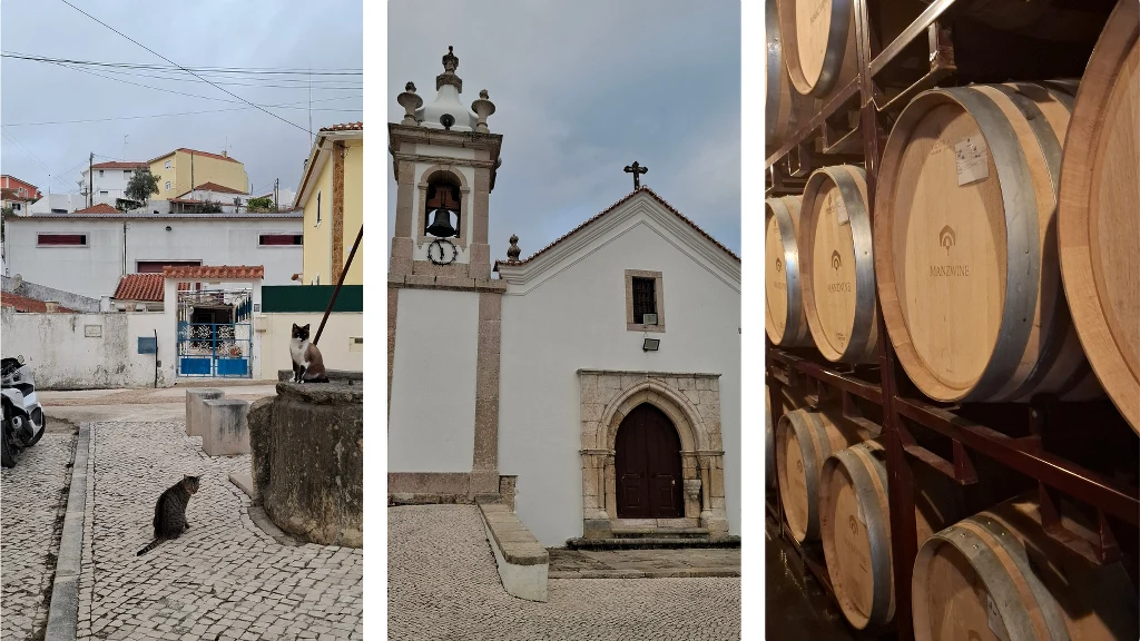 W Cheleiros odnaleziono zapomniany szczep Jampal Kombinacja trzech kadrów: pierwszy ukazuje spokojną uliczkę miasteczka z kotem siedzącym na brukowanej drodze, drugi to zabytkowy biały kościół z kamiennym portalem i dzwonnicą, trzeci prezentuje wnętrze piwnicy z rzędami dębowych beczek do leżakowania...