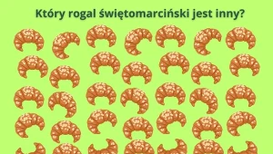 Test dla prawdziwych mistrzów obserwacji. Ile zajmie ci dostrzeżenie różnicy?