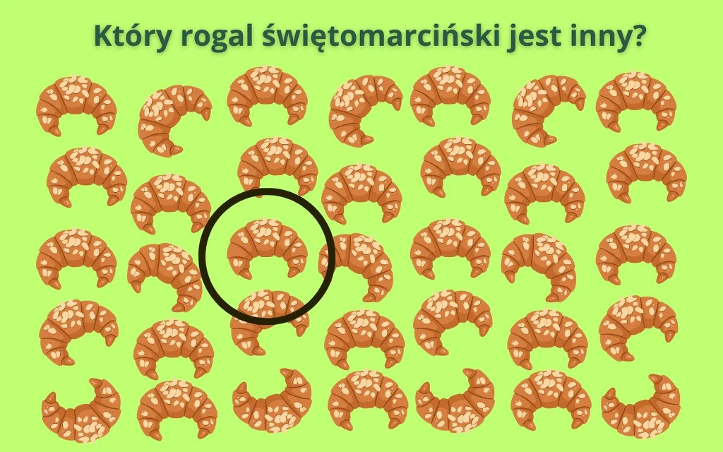 Poprawna odpowiedź Kilka rzędów rogalików świętomarcińskich na zielonym tle, jeden z rogalików oznaczony czarnym okręgiem jako inny niż pozostałe.