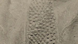 Tajemnicza konstrukcja Inków od niemal wieku budzi ciekawość archeologów 