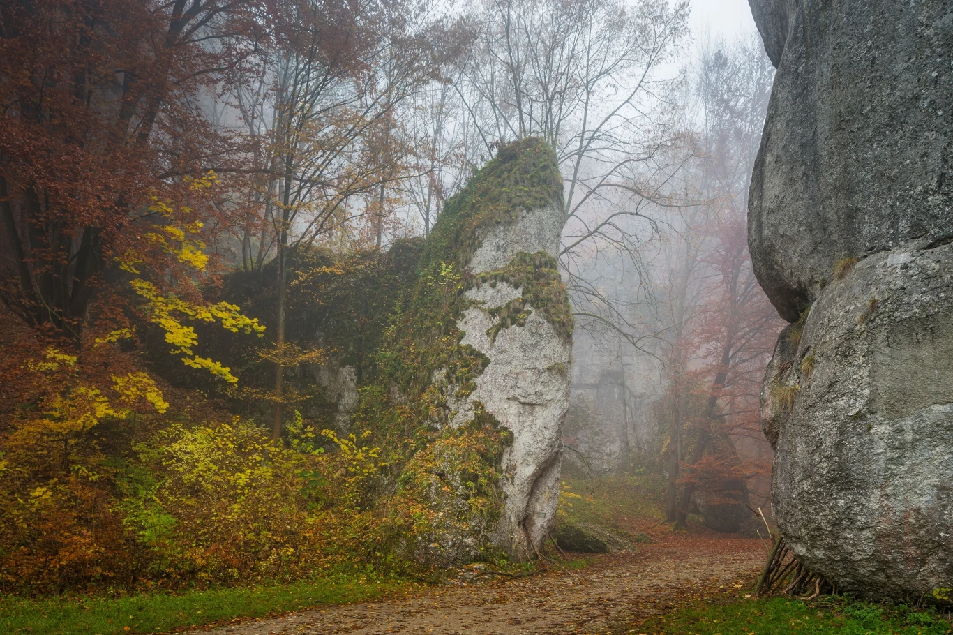 Najmniejszy park narodowy w Polsce często określany jest "polską Szwajcarią". Szczególnie zachwyca w jesiennej odsłonie Najmniejszy park narodowy w Polsce często określany jest "polską Szwajcarią". Szczególnie zachwyca w jesiennej odsłonie