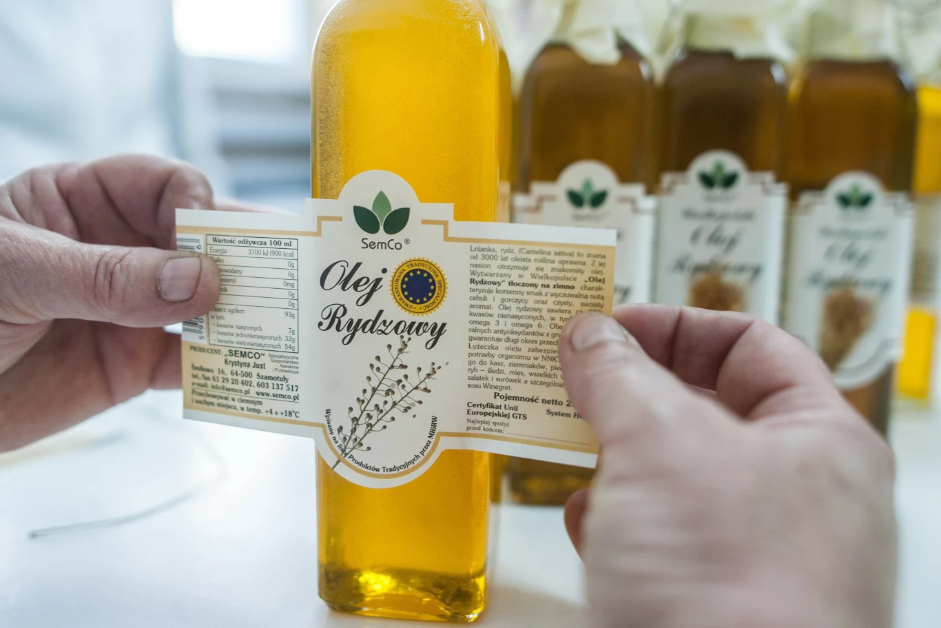Olej rydzowy wytwarzany jest z rośliny o nazwie lnianka siewna