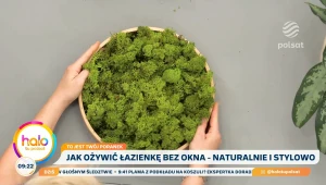 Rośliny do łazienki? Kasia Joda pokazuje, co działa w świetle i bez niego