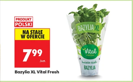 Bazylia Vital Fresh