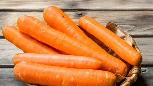 Źle przechowywana marchewka szybko więdnie i czernieje.