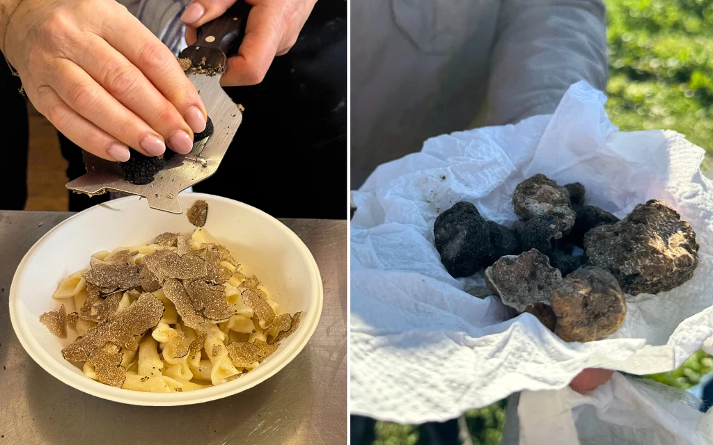 Na istryjskie trufle poluje się w okolicach średniowiecznego miasteczka Buzet Na istryjskie trufle poluje się w okolicach średniowiecznego miasteczka Buzet