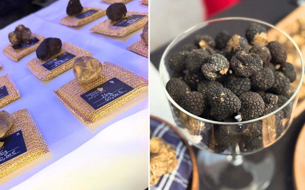 Co roku w istryjskim Buzet odbywa się Festiwal Trufli Czarne trufle wystawione na złotych podkładkach z etykietami informacyjnymi oraz miska wypełniona truflami, akcent na luksusowy charakter i wysoką wartość grzybów.
