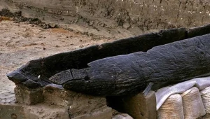 Po 3000 lat z koryta rzeki wynurzyły się łodzie. Odkrywają sekrety epoki brązu