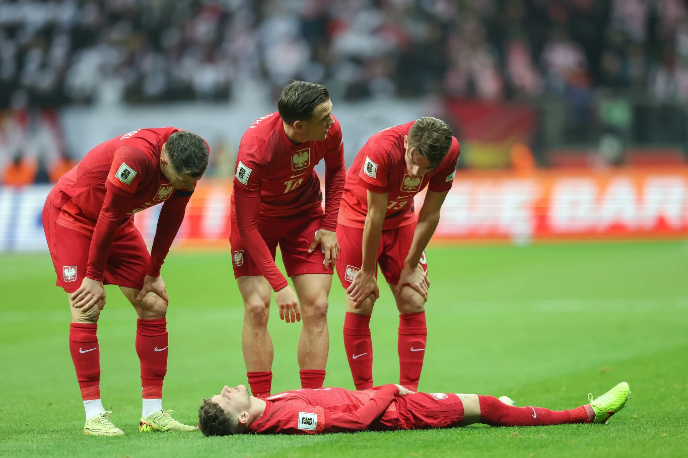 Sebastian Szymański (na leżąco) Czterech piłkarzy w czerwonych strojach drużyny narodowej Polski, trzech z nich pochylonych nad leżącym na murawie czwartym zawodnikiem, wyraz troski widoczny na ich twarzach, w tle rozmyta publiczność stadionowa.