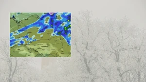 Pierwsze opady śniegu na terenach nizinnych w tym roku