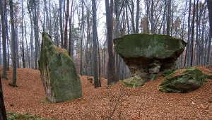To urokliwe miejsce jest ostoją przyrody. A Polacy jakby o nim zapomnieli