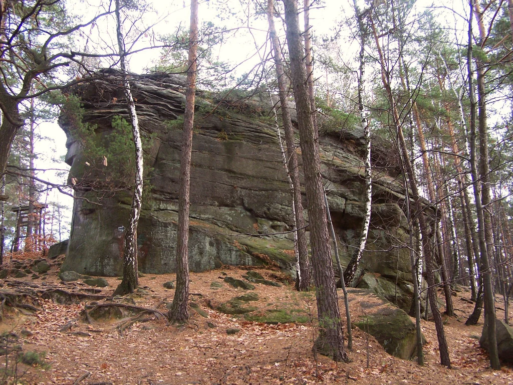 Kamienie Brodzińskiego Duża skała piaskowcowa o pionowych ścianach otoczona drzewami iglastymi i liściastymi, na ziemi leżą opadłe liście, wokół widać naturalne elementy lasu.