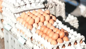 Ministerstwo zapewnia, że jaj na Święta nie zabraknie. Ale mogą być droższe