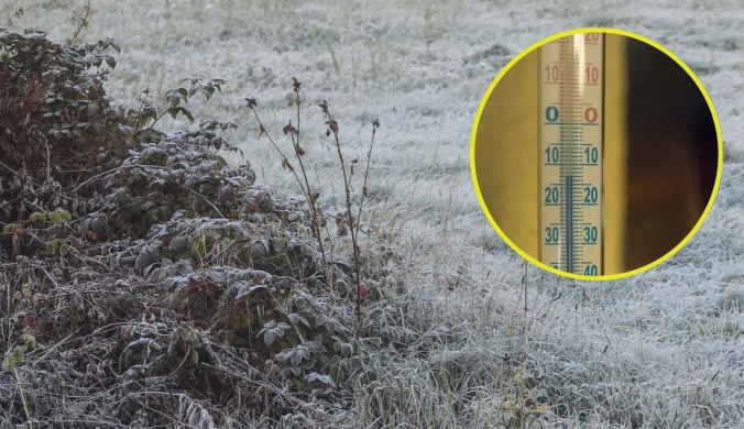 Rolnicy zaniepokojeni spadkiem temperatur. "To może spowodować wzrost cen"