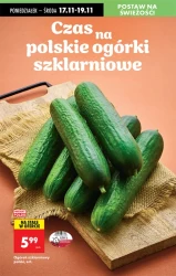 Codzienne okazje dla całej rodziny - Biedronka