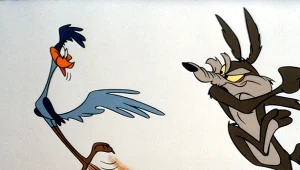 Kojot w filmie przegrywa ze Strusiem Pędziwiatrem. W życiu jest odwrotnie