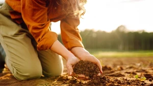 Zamiast wyrzucać, zakop to w ogrodzie. Rośliny będą ci wdzięczne