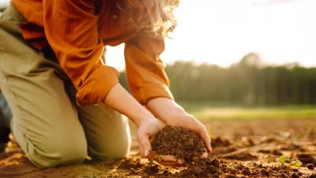 Warto wykorzystać naturalny nawóz, by wspomóc rośliny przed nadejściem zimy. Resztki kuchenne to skarbnica składników mineralnych. 