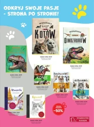 Magia świątecznych opowieści w Księgarniach Świat Książki