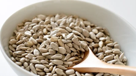 Wystarczą trzy łyżki dziennie. Pestki słonecznika chronią przed zmianami miażdżycowymi i zbijają cukier