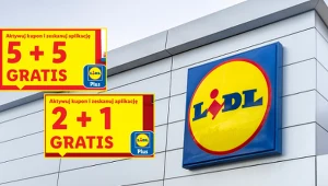 Promocji i gratisy w Lidlu od poniedziałku. Sprawdź, co dostaniesz bez dopłaty