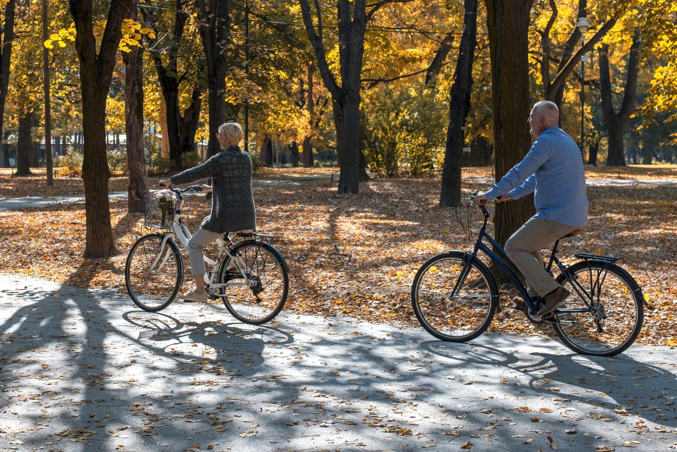 Dwoje starszych ludzi jadących na rowerach leśną aleją w parku otoczonym złotymi liśćmi jesiennych drzew, promienie słońca przebijają się przez gałęzie, tworząc przyjazną i spokojną atmosferę.