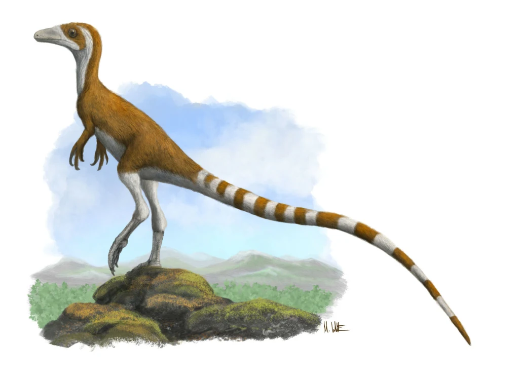 Ilustracja dinozaura Sinosauropteryx. Mały dinozaur pokryty pierzem z długim ogonem, rudobrązowym grzbietem i białym brzuchem, stojący na kamieniach z zielonym krajobrazem w tle oraz niebem z chmurami