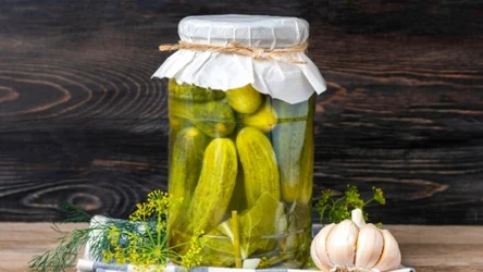 Przestań wylewać wodę z kiszonych ogórków. Jest cenniejsza, niż sądziła/eś