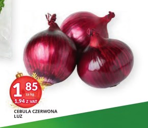 Cebula czerwona niska cena