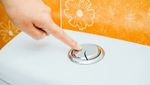 Po co są dwa przyciski w toalecie? Nieoczywista funkcja, która pomoże obniżyć miesięczne wydatki
