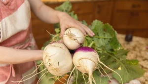 Do zup, sałatek, kanapek. Działa zbawiennie na cały organizm