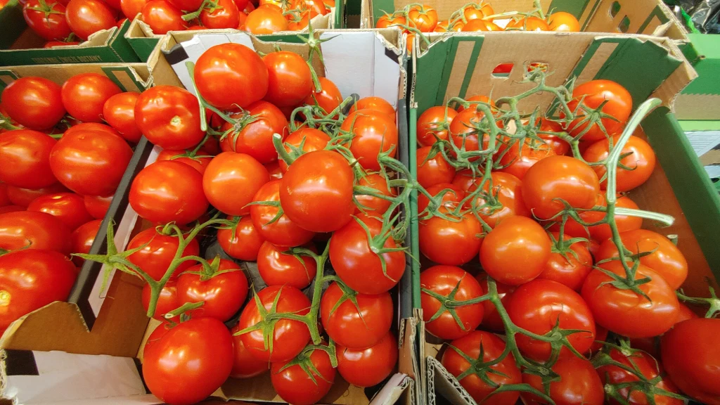 Czy pomidory w polskich sklepach zawierają środki pomagające w szybszym wybarwianiu?