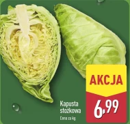 Kapusta