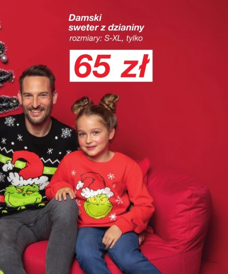 Жіночий джемпер