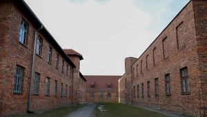 Niemcy. Skandaliczna aukcja wojennych artefaktów. "Ubolewamy" (zdj. ilustracyjne)