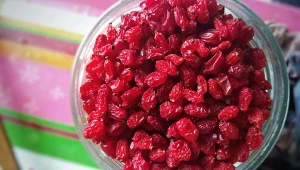 Suszony berberys w Polsce nie jest szczególnie popularny, a szkoda, bo oferuje sporo dobrego